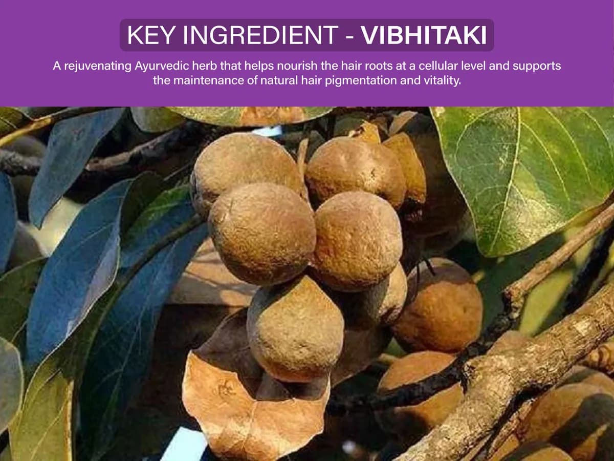 Key ingredient: Vibhitaki